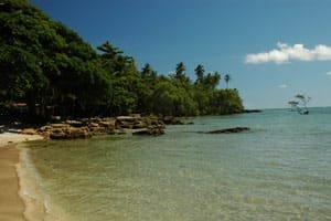 boipeba island mata atlantica
