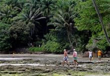 praia bainema boipeba