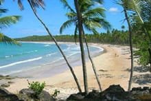 praia cueira boipeba bahia