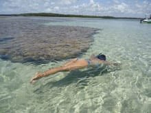 praia morere beach island of boipeba