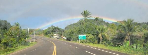 transfer-marau-arco-iris