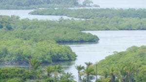 passeio de barco manguezal baia de camamu